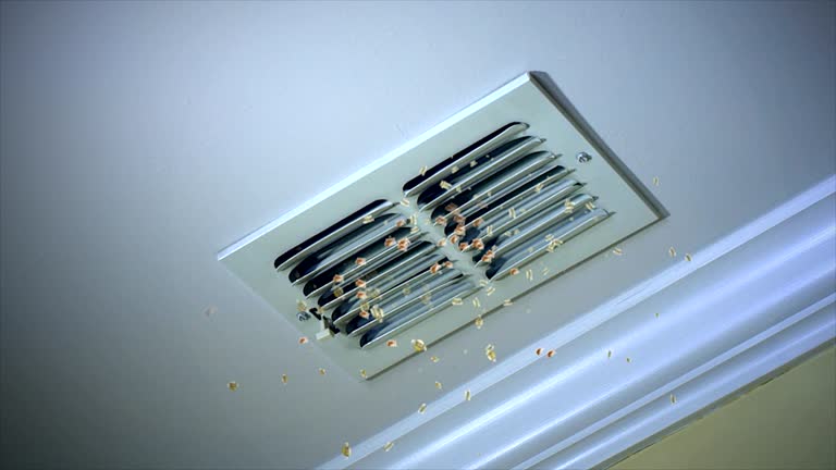 Best Air Duct Cleaning Company Near Me  in Pendleton, IN