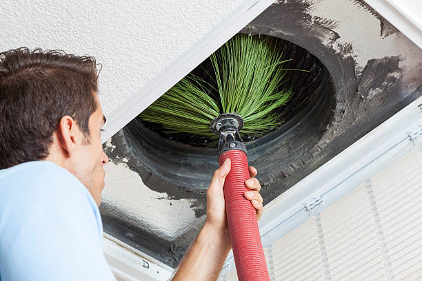 Best Emergency Air Duct Cleaning  in Pendleton, IN