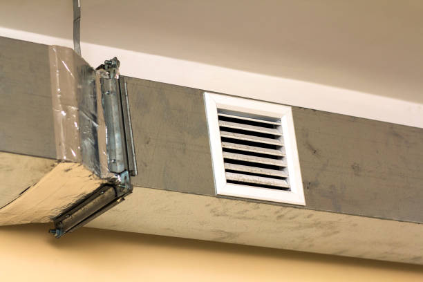 Best Home Air Vent Cleaning  in Pendleton, IN